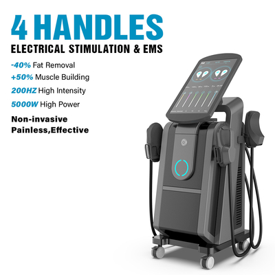 Ce / Fda grand écran professionnel Ems stimulateur musculaire beau augmenter la construction du plancher pelvien machine d'entraînement